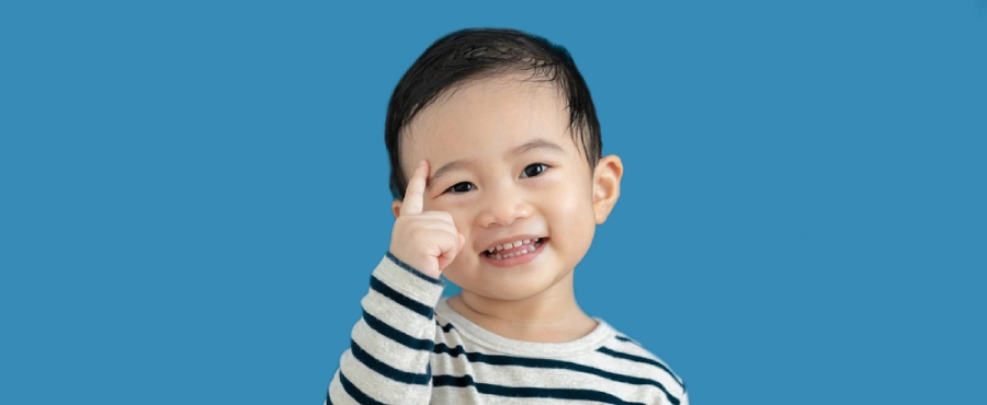 Banner Artikel Fungsi Otak dan Peran Pentingnya dalam Perkembangan Anak