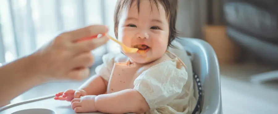 Banner Artikel 17 Cemilan Bayi 7 Bulan Homemade Bergizi dan Mudah Dibuat