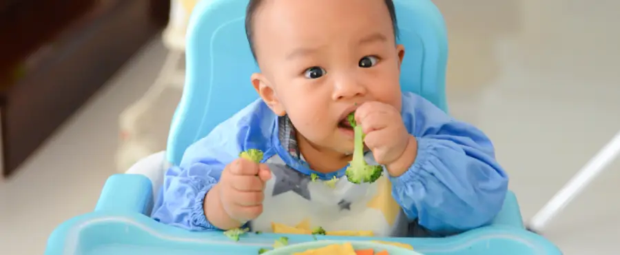 Banner Artikel Panduan Tekstur Makanan Bayi 9 Bulan yang Tepat