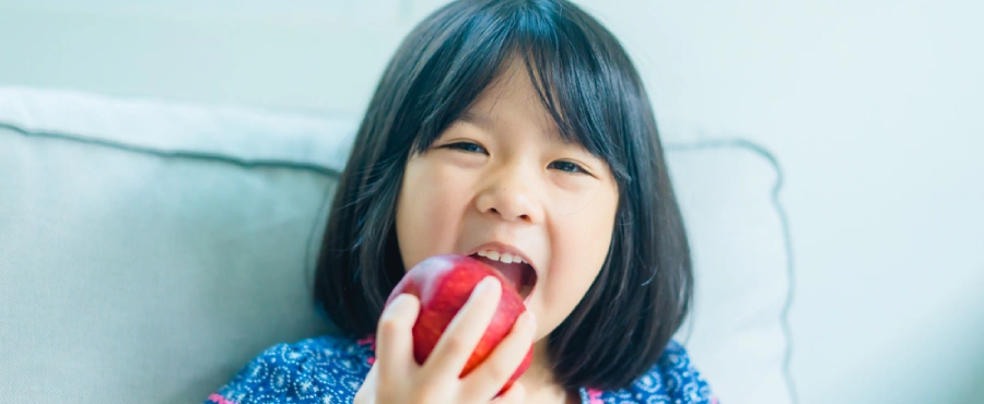 Banner Artikel 11 Buah yang Bagus untuk Kecerdasan Otak Anak Banner Artikel 11 Buah yang Bagus untuk Kecerdasan Otak Anak