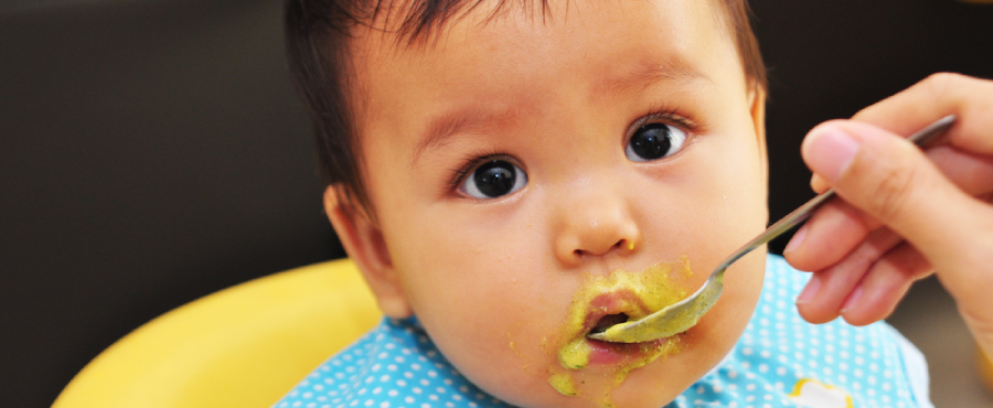 Banner Artikel Penyebab Bayi 6 Bulan Susah Makan MPASI dan Cara Mengatasinya Banner Artikel Penyebab Bayi 6 Bulan Susah Makan MPASI dan Cara Mengatasinya