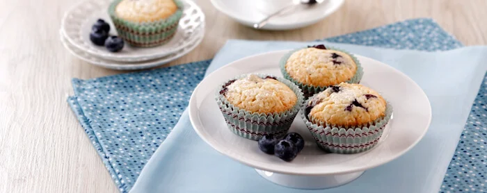 blueberry-muffin_large